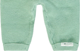 Noppies U Pants Knit Reg Grover Mint