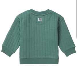 Noppies boys sweater Teaticket long sleeve