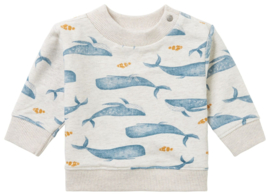 Noppies boys Sweater Motley all over print