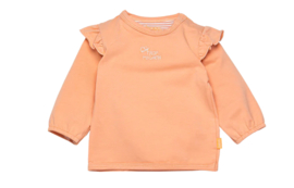 Bess Baby Girl Shirt Ruffles Peach 232091