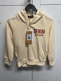 Dutch Dream Denim hoodie Kwetu
