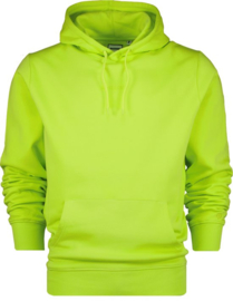 Raizzed sweater Newton Lizard green