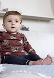 Dirkje Jongens Broek - Grey 52691