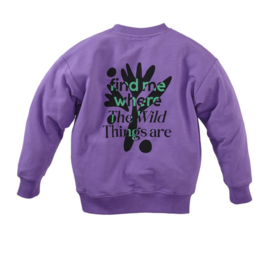 Z8 sweater Timon