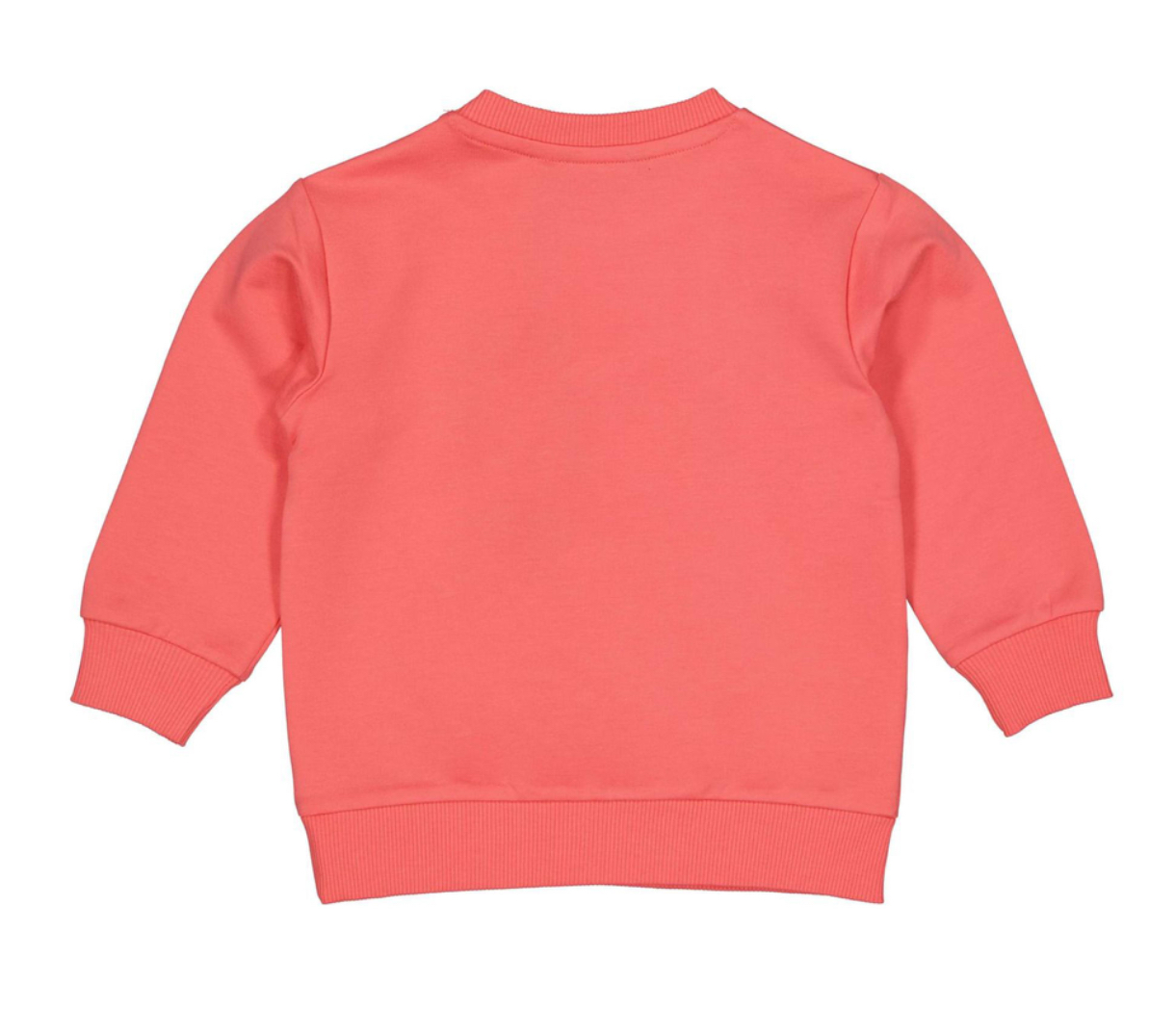 Quapi sweater Marlon
