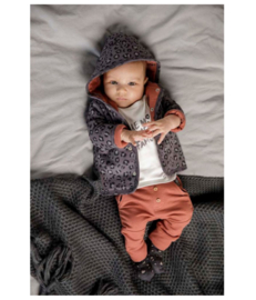 Feetje Omkeerbaar vest met capuchon - Wild Thing - Antraciet