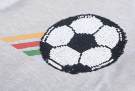 Someone t-shirt - grey melange- longsleeve - Kylian