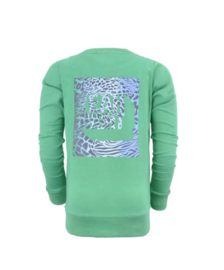 Nais sweater Diem