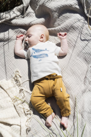 Noppies Boys pants Mathis