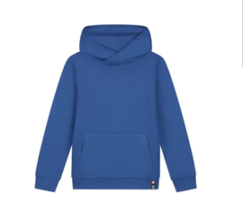 Skurk hoodie Sil
