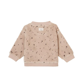 Noppies Unisex sweater Gaspe