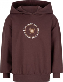 Daily7 hoodie Futur Oversized Dark Mauve