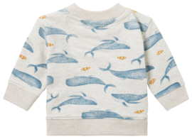 Noppies boys Sweater Motley all over print