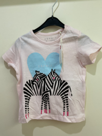 Esprit shirt zebra