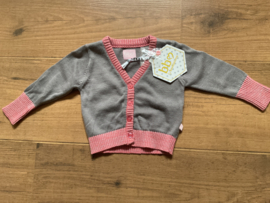 Beebielove shirt vestje Gry