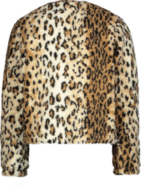Moodstreet borgvest 5343
