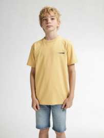 PETROL shirt TSR620
