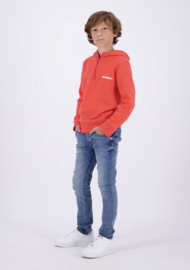 RAIZZED SWEATER WEBB