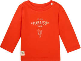 Noppies Boys Tee Okawa