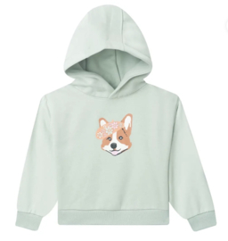 Mini Regels hoodie Corpem Mint