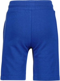 RAIZZED short Baldwin Street Blue