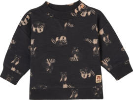 Noppies Boys sweater Grijota