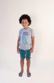 Nais shirt Dirk