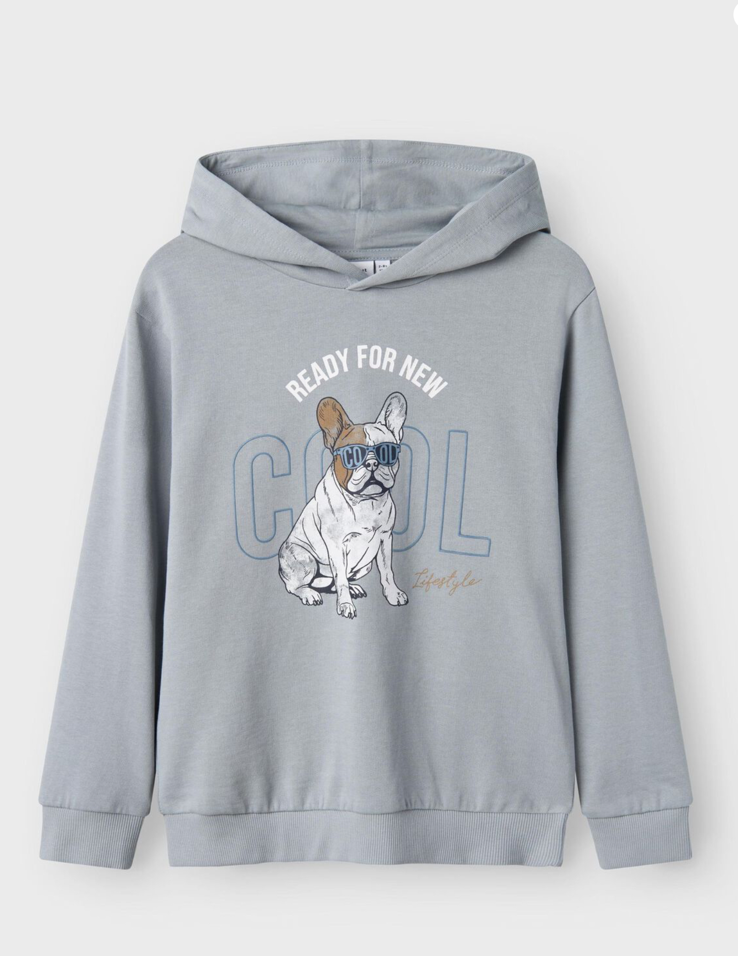 NAME IT NKMBEDOG LS NREG SWEAT WH UNB