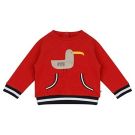 Ducky Beau sweater Tomato