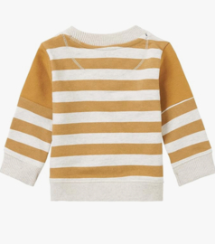 Noppies Boys Sweater Maize long sleeve