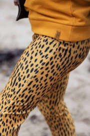 Koko Noko meisjes panter broek Black Ochre 40934