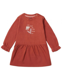 Noppies Baby Girl Dress Viana long sleeve