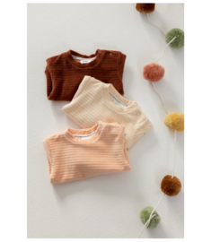 Feetje longsleeve Magic velours 51602028