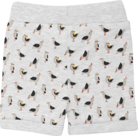 Ducky Beau Jongen Short Bird