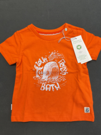 Noppies Boys Tee Vermillion short sleeve