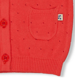 Feetje vest knit Cherry Sweetness 51300380