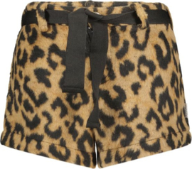 B.Nosy short Leopard 5683