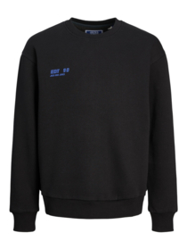JACK & JONES JORCOLLECT EDT LOOSE SWEAT CREW JNR