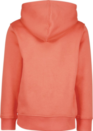 RAIZZED SWEATER WEBB