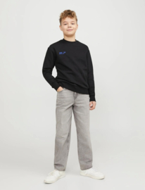 JACK & JONES JORCOLLECT EDT LOOSE SWEAT CREW JNR