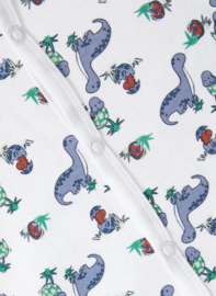 NAME IT NBMNIGHTSUIT 2PWF WILD WIND DINO NOOS