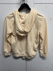 Dutch Dream Denim hoodie Kwetu