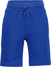 RAIZZED short Baldwin Street Blue