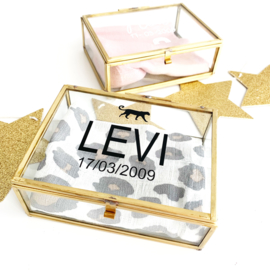 Herinneringen box - Levi