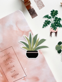 Plant sticker  -Sansevieria-
