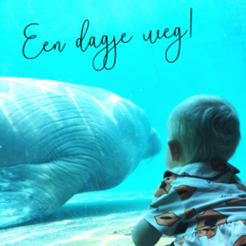 Een dagje weg! ....... Dolfinarium & pannenkoekenhuis Hans & Grietje