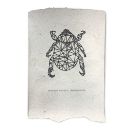 Poster bug 3