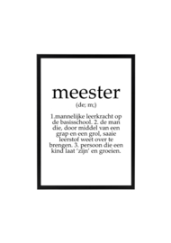 MEESTER