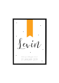 GEBOORTEPOSTER | LEVIN