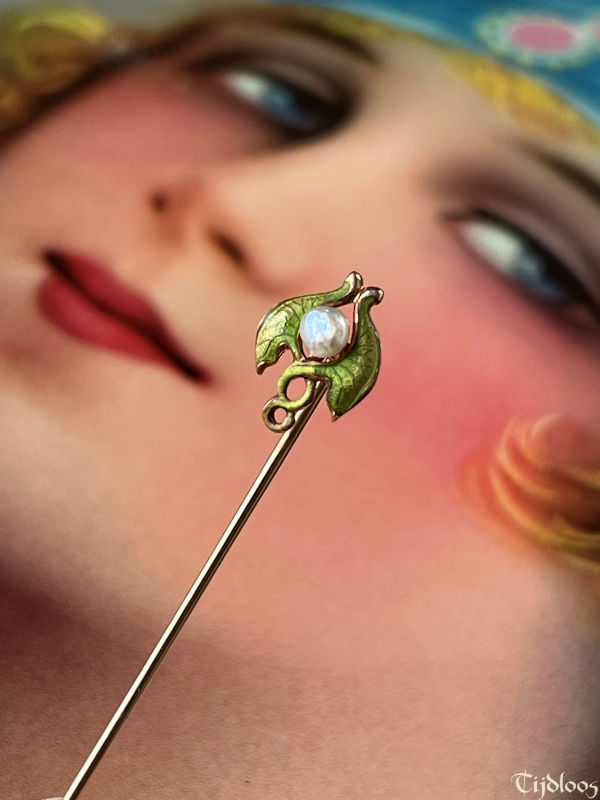 Link & Angell Speld